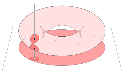 Torus contour